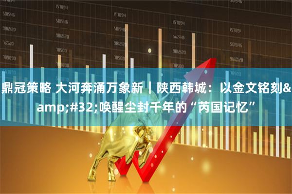 鼎冠策略 大河奔涌万象新｜陕西韩城：以金文铭刻 唤醒尘封千年的“芮国记忆”