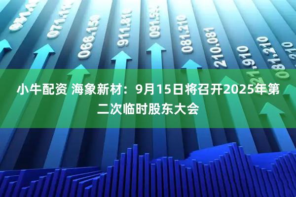 小牛配资 海象新材：9月15日将召开2025年第二次临时股东大会